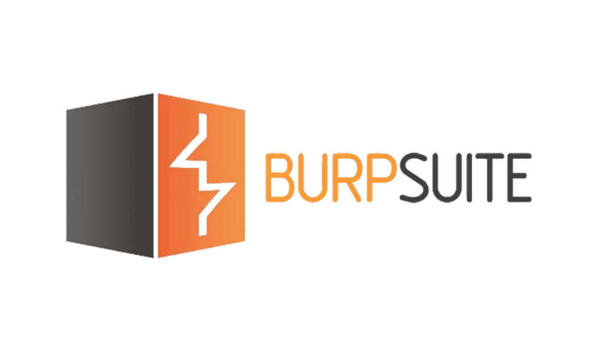 Burp Suite Tool